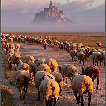 بيت للعطل Grand Gite, Saint Leonard *